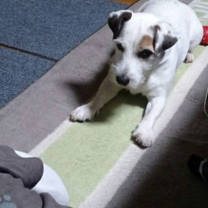 0abefaab e62b 480f b7ce 7141063d4c27