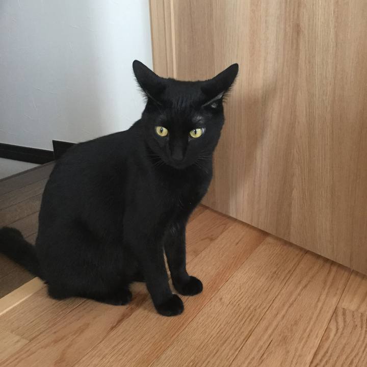 0abf0cf6 0bf0 4da6 825b f753f1203426