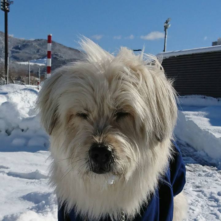 0abf4a02 1207 4619 9cab 7077b7f4f36a