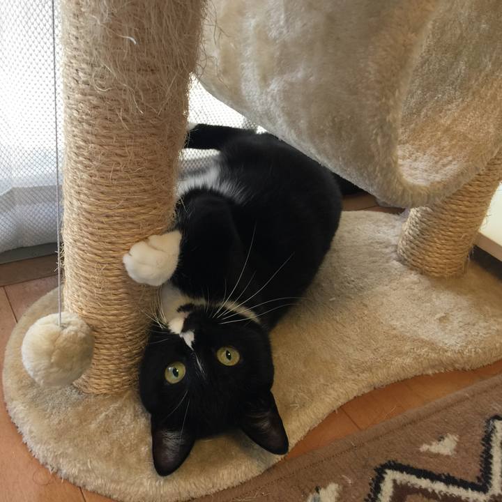 0abf6fe6 31f3 4cc3 afec 60ae9a7fd057