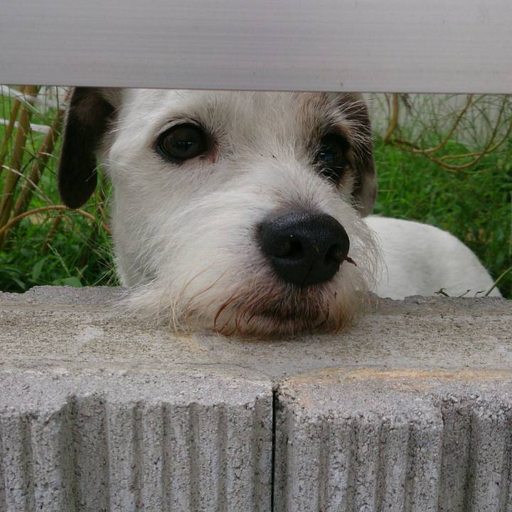 0abf7eee 7342 442f 9bf5 d0bd45d87985