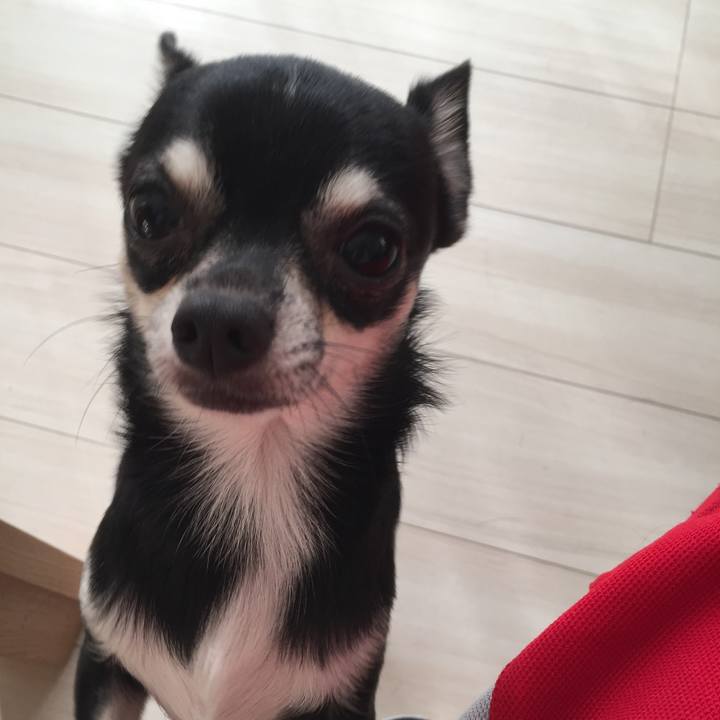 0ac04a72 906c 4bc4 b125 70752fd34443