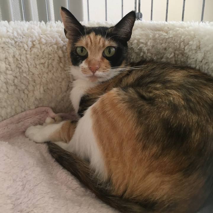 0ac14385 6313 4461 9c70 3211cf8ad805