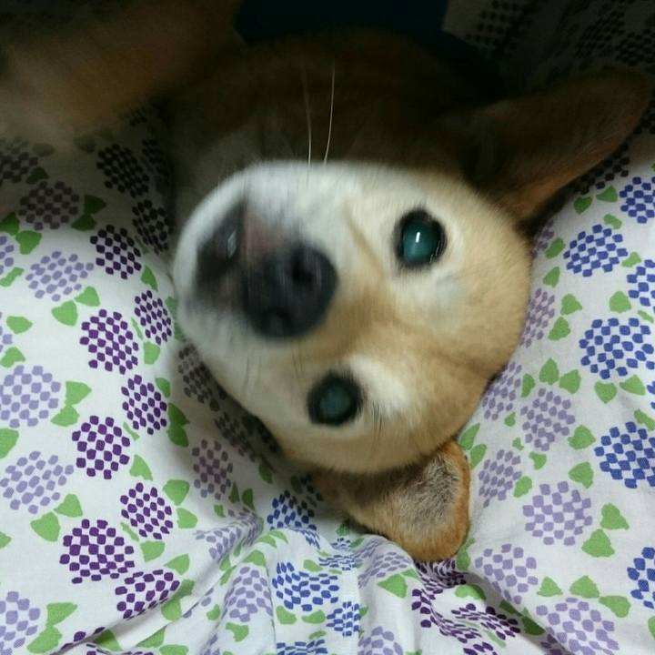 0ac19092 a88b 460a a2d5 058ad4ce599b