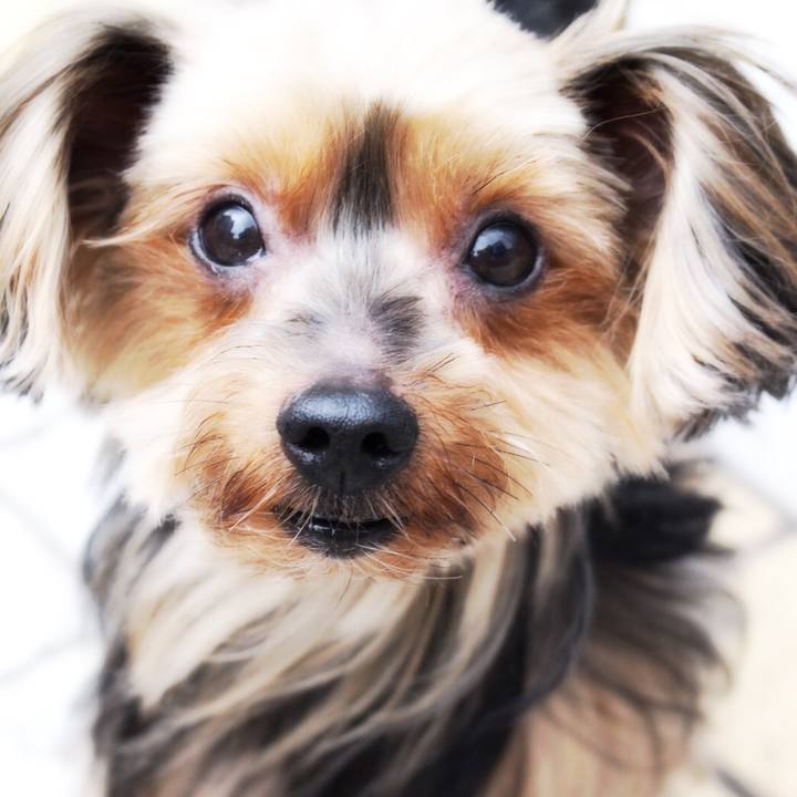 0ac1a2dd 9417 4c3e b2b5 5627264a015e