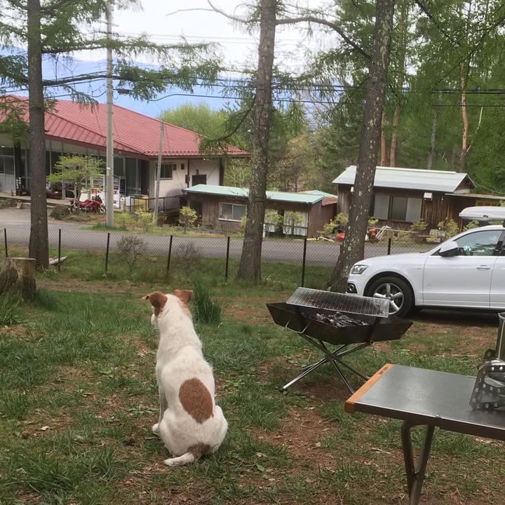 0ac27af0 739c 4c29 b939 f380405fc8a9