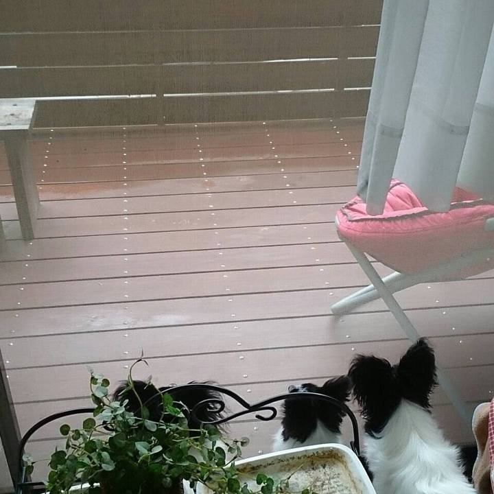 0ac3ae69 0f73 488e 8e10 8d6142fbaae9