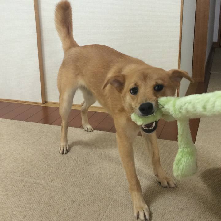 0ac44d7c 90e8 458e b2cd ee4a2ff2b46c