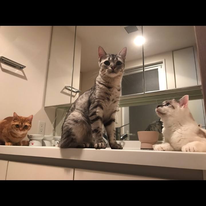 0ac4f014 d155 4ade b518 61510f6d56db