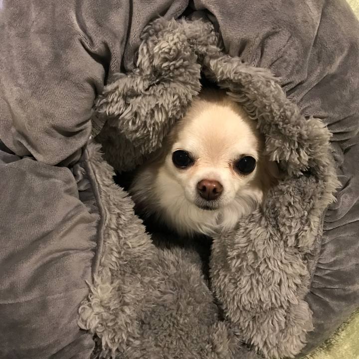 0ac53cf9 d7ac 4f2a b926 fdddcf97cfc9