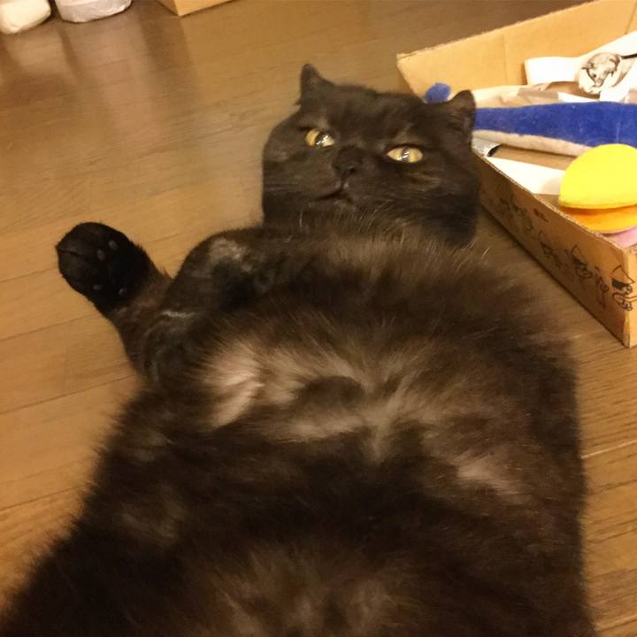 0ac55af0 82da 4376 ad21 bee232078cd5