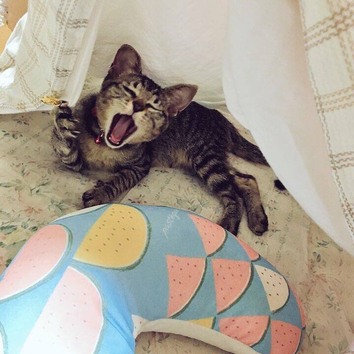 0ac5780c 9e82 4ef0 b62b 1729b1ae8010