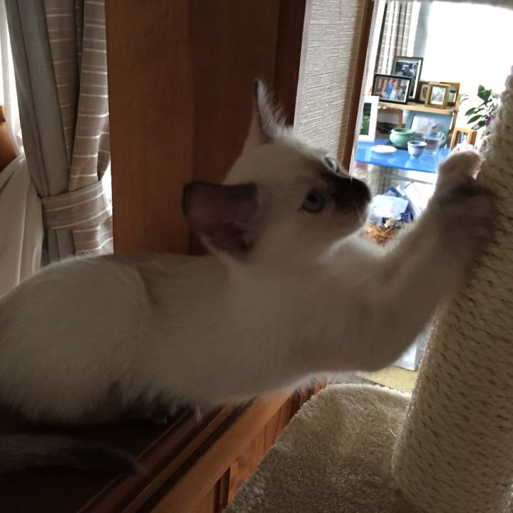 0ac57ab8 3293 46e0 aef8 da7933654005