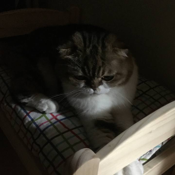 0ac5d690 29ad 497d ba4b 1821f0c99a18