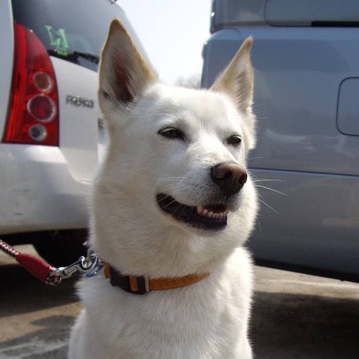 0ac5f374 ae15 4001 a4da 0a3896886664