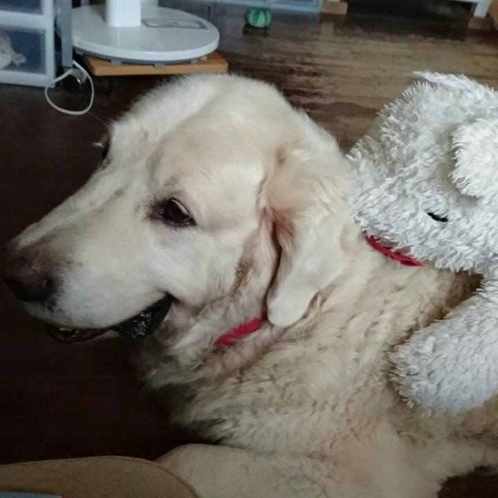 0ac603ad 2deb 4c3b b679 3cd545f9ff5a