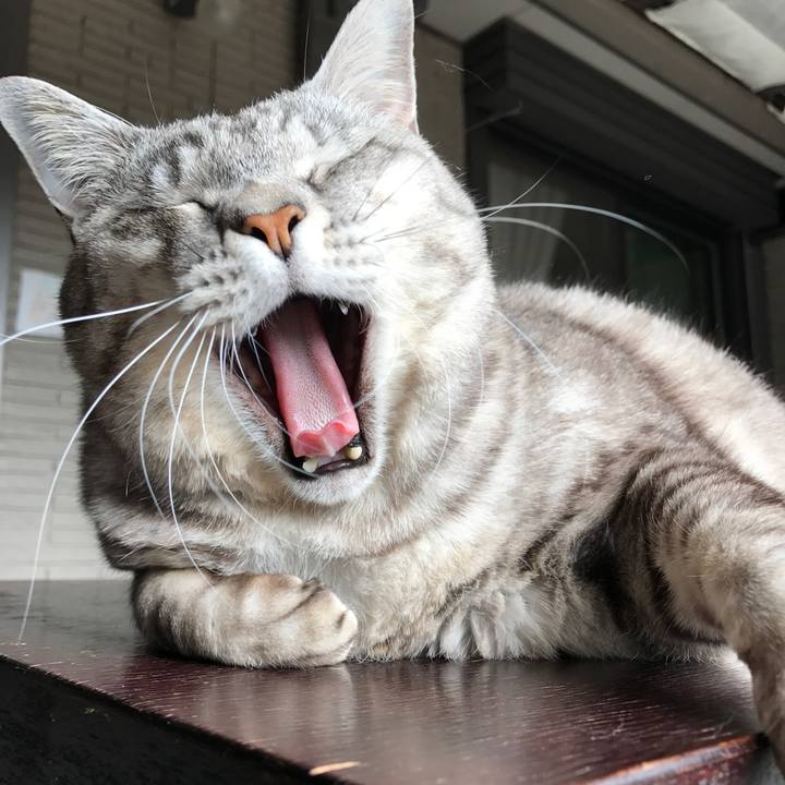 0ac615d2 083e 4394 b097 504e100c5960