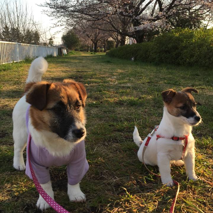 0ac7b43e ff45 4be6 991a f4f45e900420