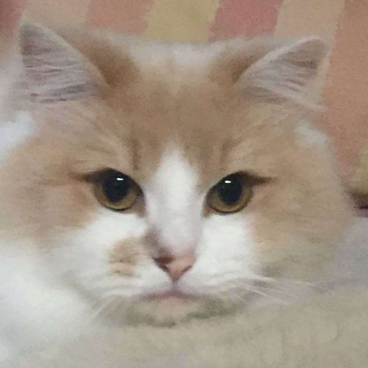 0ac80909 1559 4f20 ad63 4bea47d41d51