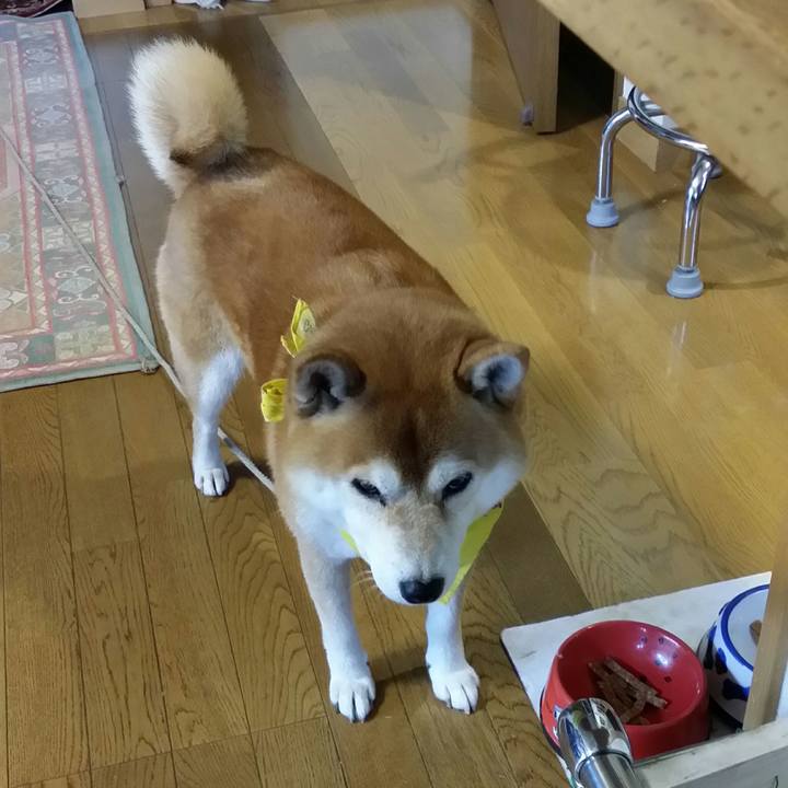 0ac8cba1 9d6a 4d13 afb4 d3d228198d7f