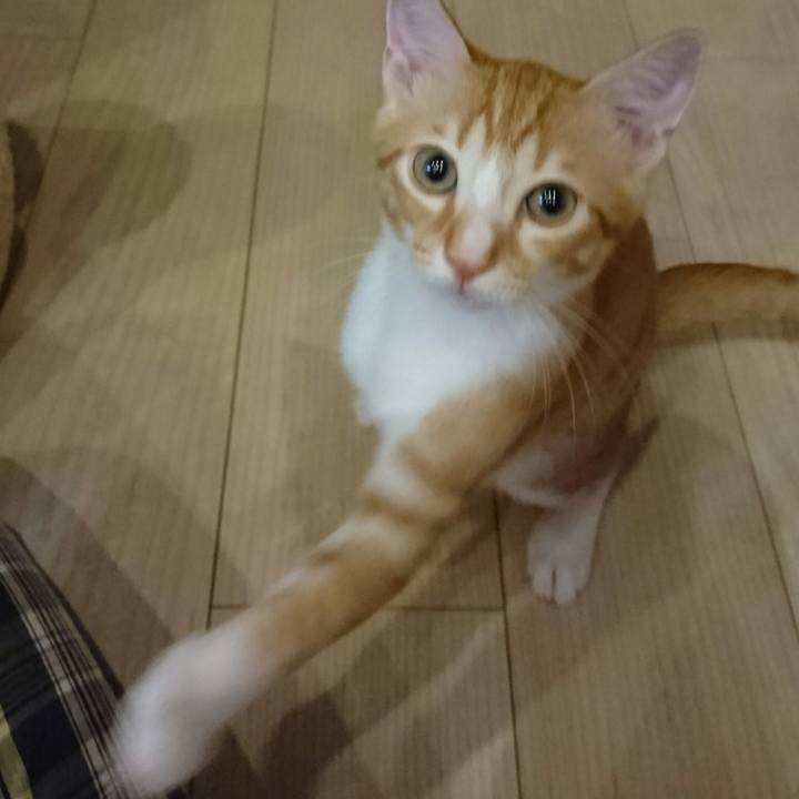 0ac8f1dc 8d5d 4ae5 9ef7 521cd174afb8