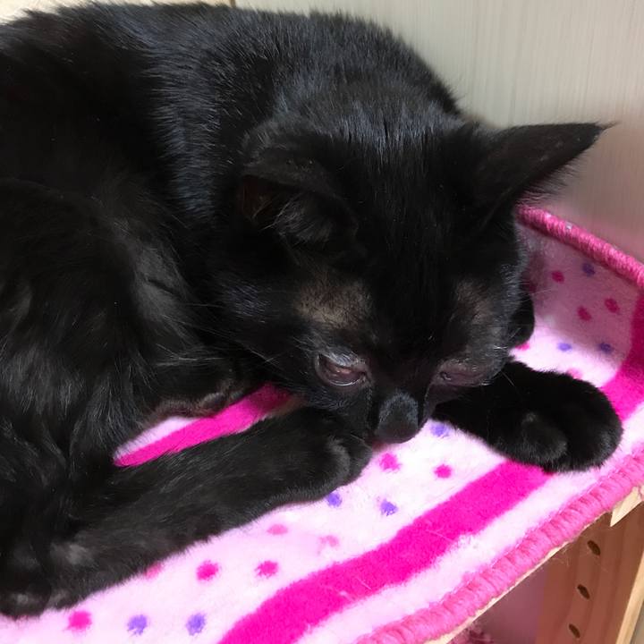 0aca0987 51fe 4598 b78d ff4c1c019b68