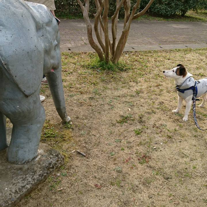 0aca2611 7634 4386 af46 44e3cff33c44