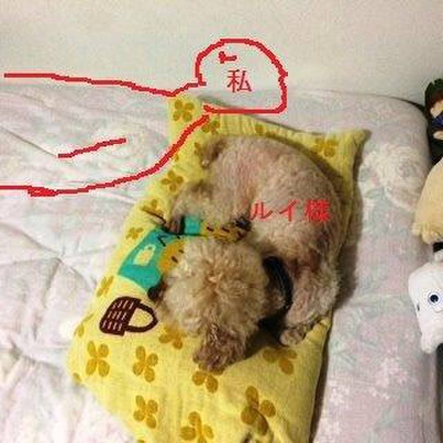 0aca4ec7 a001 4da2 a5f0 eda0b4c598b6