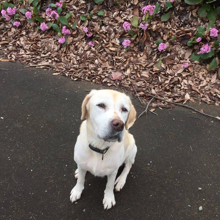 0aca6947 a427 40a6 a2b6 f35937688069