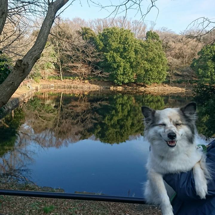 0aca825c 5587 4fa9 aaf8 597056faca97