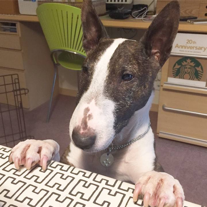 0acb2b7d 32b4 45e2 9a2e aa35d53658f0