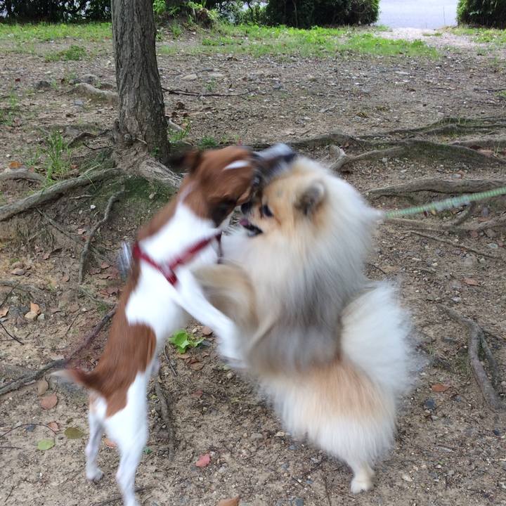 0acb6bd7 bf1b 40d9 99bd 8d9952b54cfd