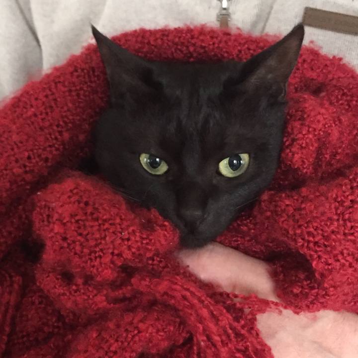 0acc873c f90e 41cb a86e 717a3d91bf66