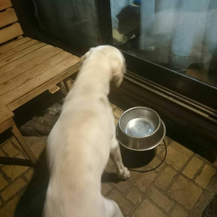 0acca3ee 24de 497b b6d0 1a1b849bbc75