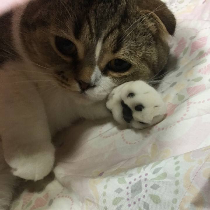 0accbba1 a73c 4a72 b86c 2690b68ff14d