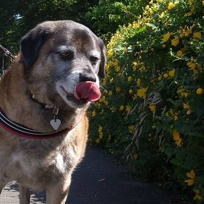 0acce5be 63c6 46c4 8ac5 9884c9245931