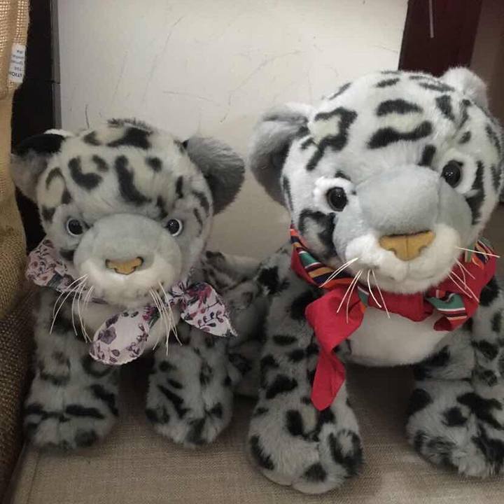 0acd8c97 a912 4c9b 8015 6c8a452a2084