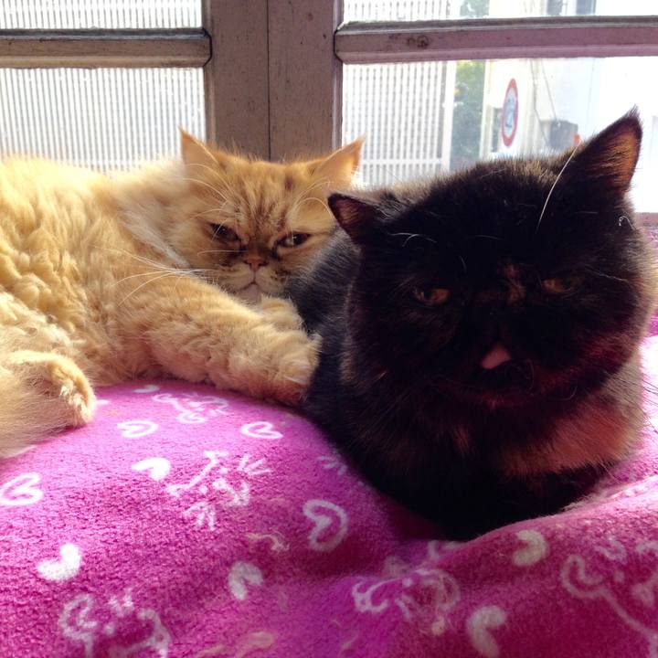 0acd95d9 ba7e 47a6 9609 4919fc106234