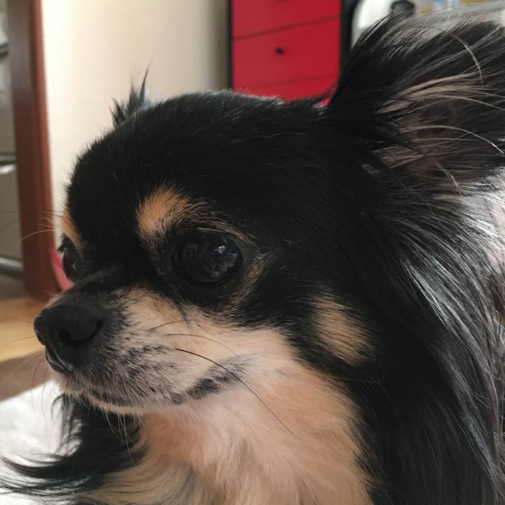 0acda0cd c504 4950 8066 e3c99c9a4d8c