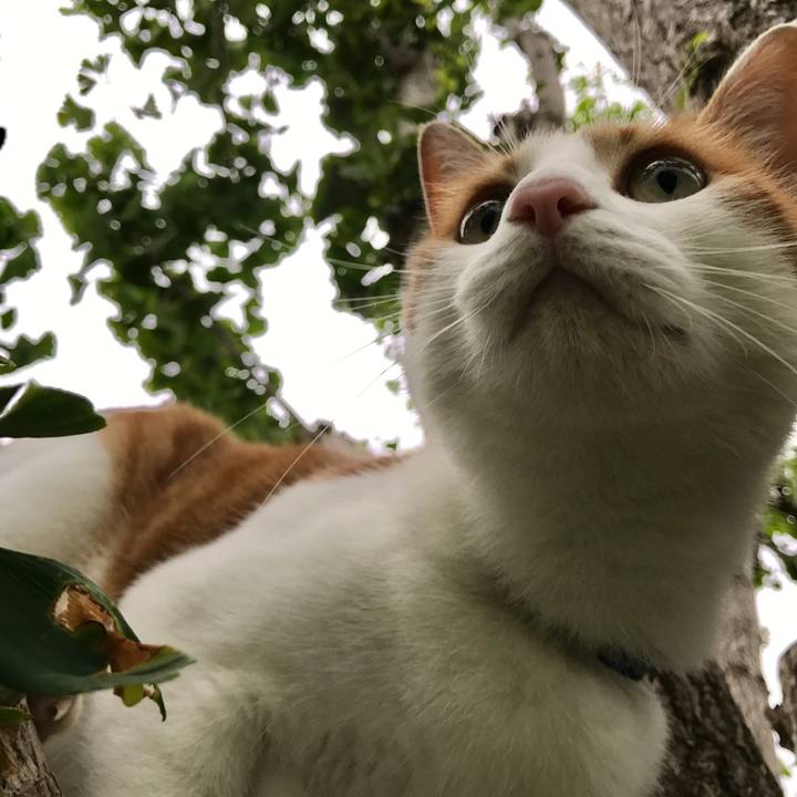 0acdadc0 6ca6 4f8e 9f7d 4d11fe353cf7