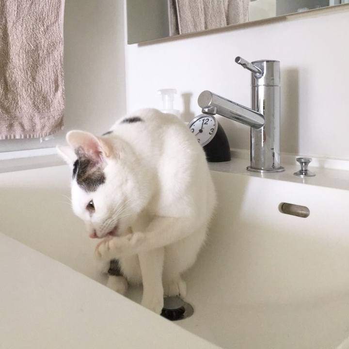 0acdb31f 296a 4f6b 9c55 d72a3e747ef8