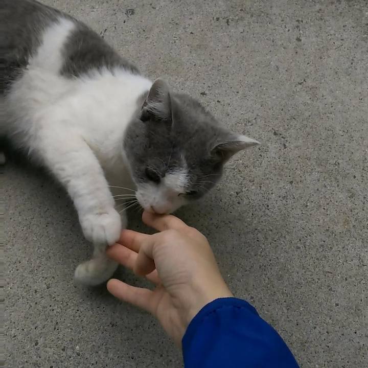 0acde889 d737 4f04 a901 37bd0a9c02c0