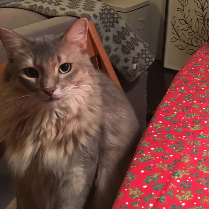 0acdfbc8 5dfb 436c 858c 4e3e32b5b78f