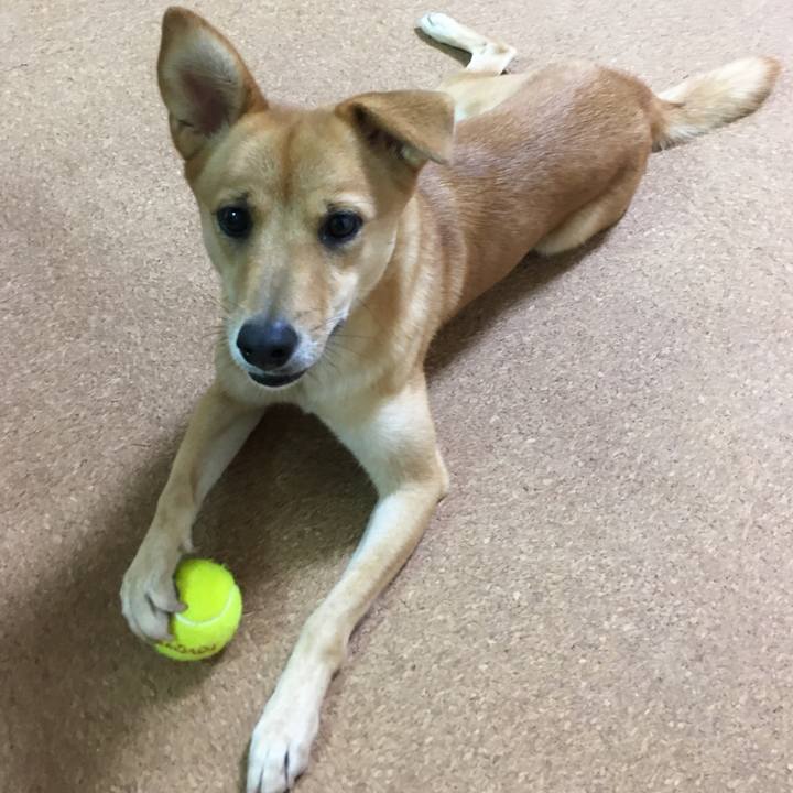 0ace1fa3 a74f 4a1a 9a5d 5191478702ad