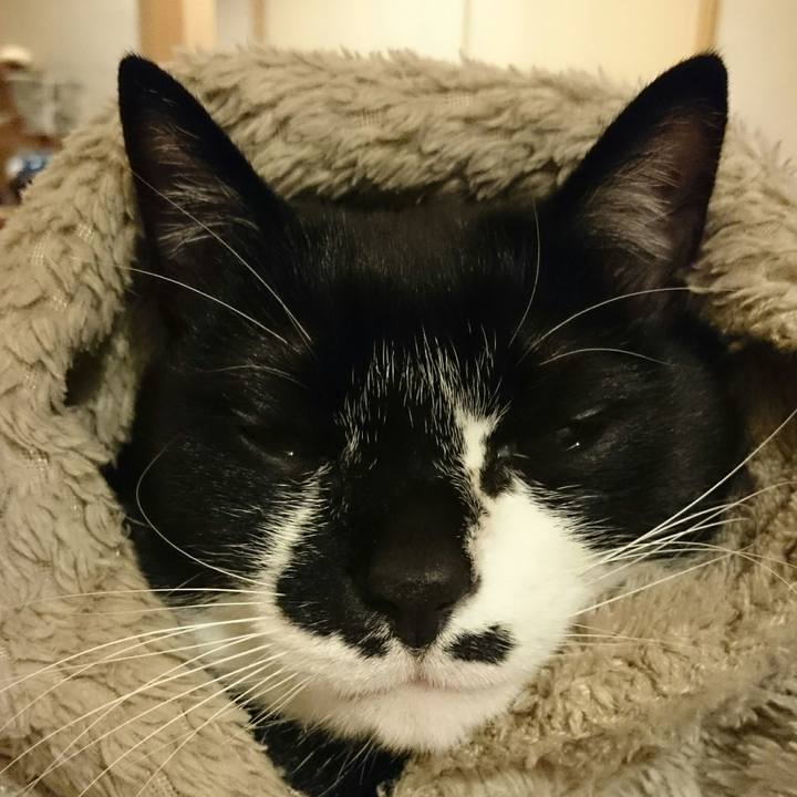 0acf5046 775b 4e15 b929 392f636d9c29