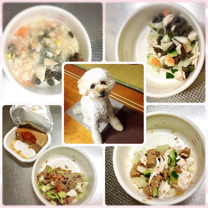 0acf5284 4ab8 4cbe a3dc 71d937039d27