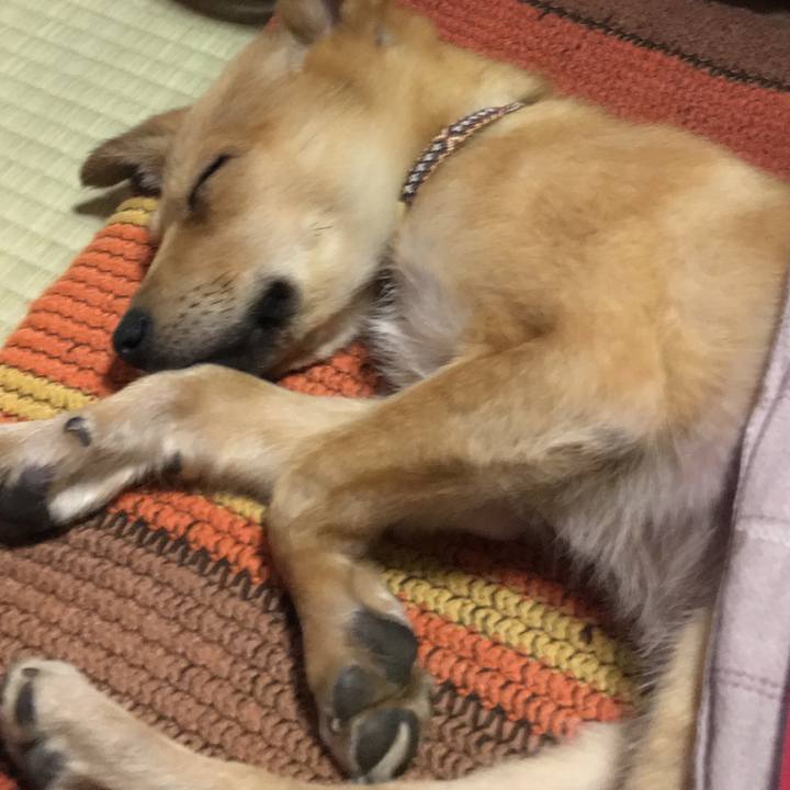 0acf7936 ebfd 46a4 8dd4 60bc3f73d143