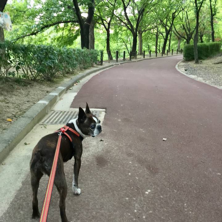 0ad0405a 04ce 448b b298 94e9b9435203