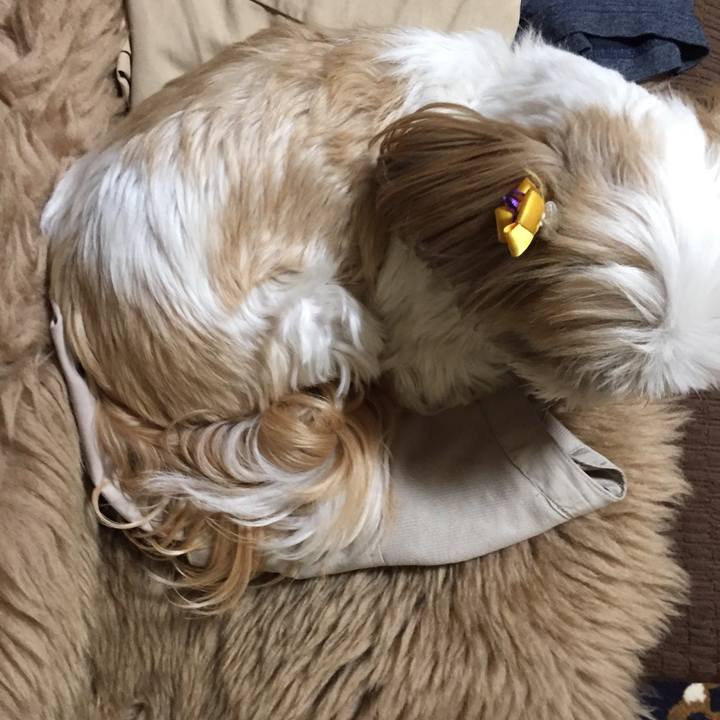 0ad0f404 a7ae 403e bc57 4e4530df1b42