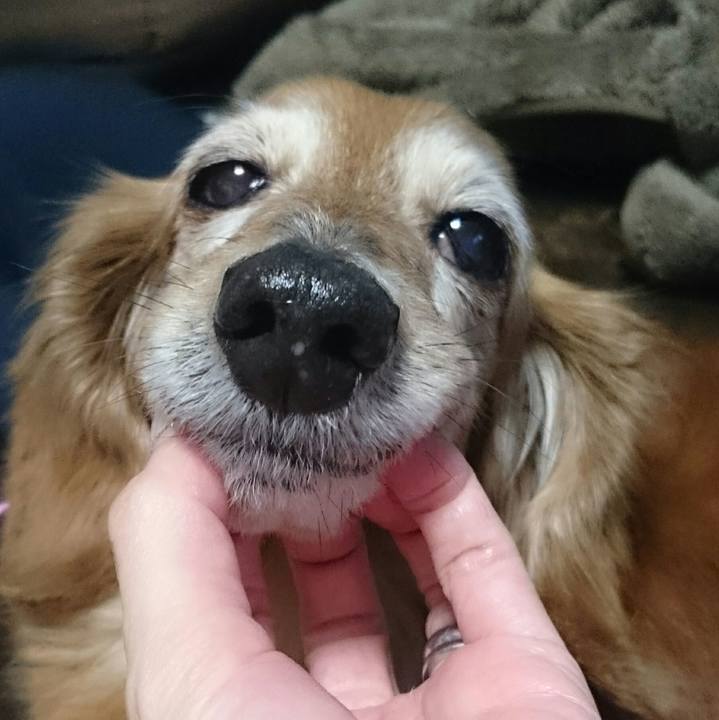 0ad11541 833b 4ff2 9576 8b3132409074